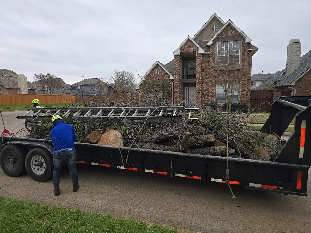 Expert Tree Fertilization with proper safety equipment in New Boston